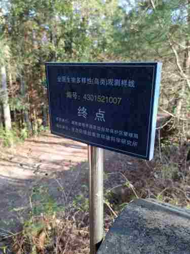 鹰嘴界国家级自然保护区旅行图片 2