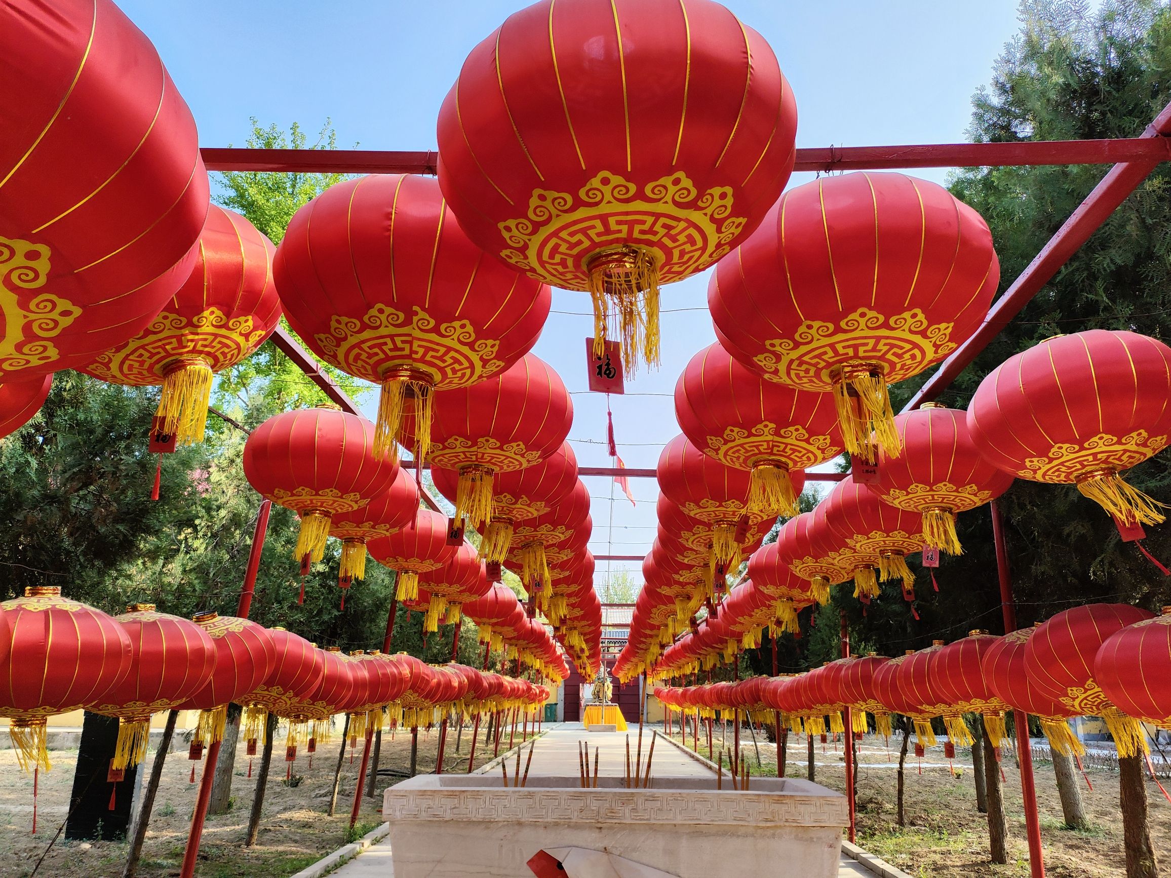 杏林寺实景照片