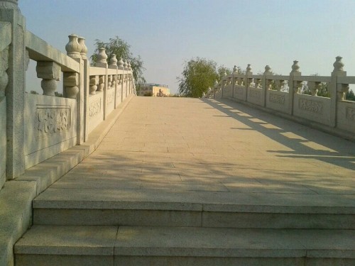 东明南华公园旅行图片 2