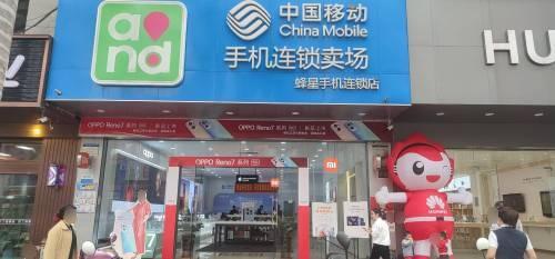 小米之家(儋州解放北路专卖店)