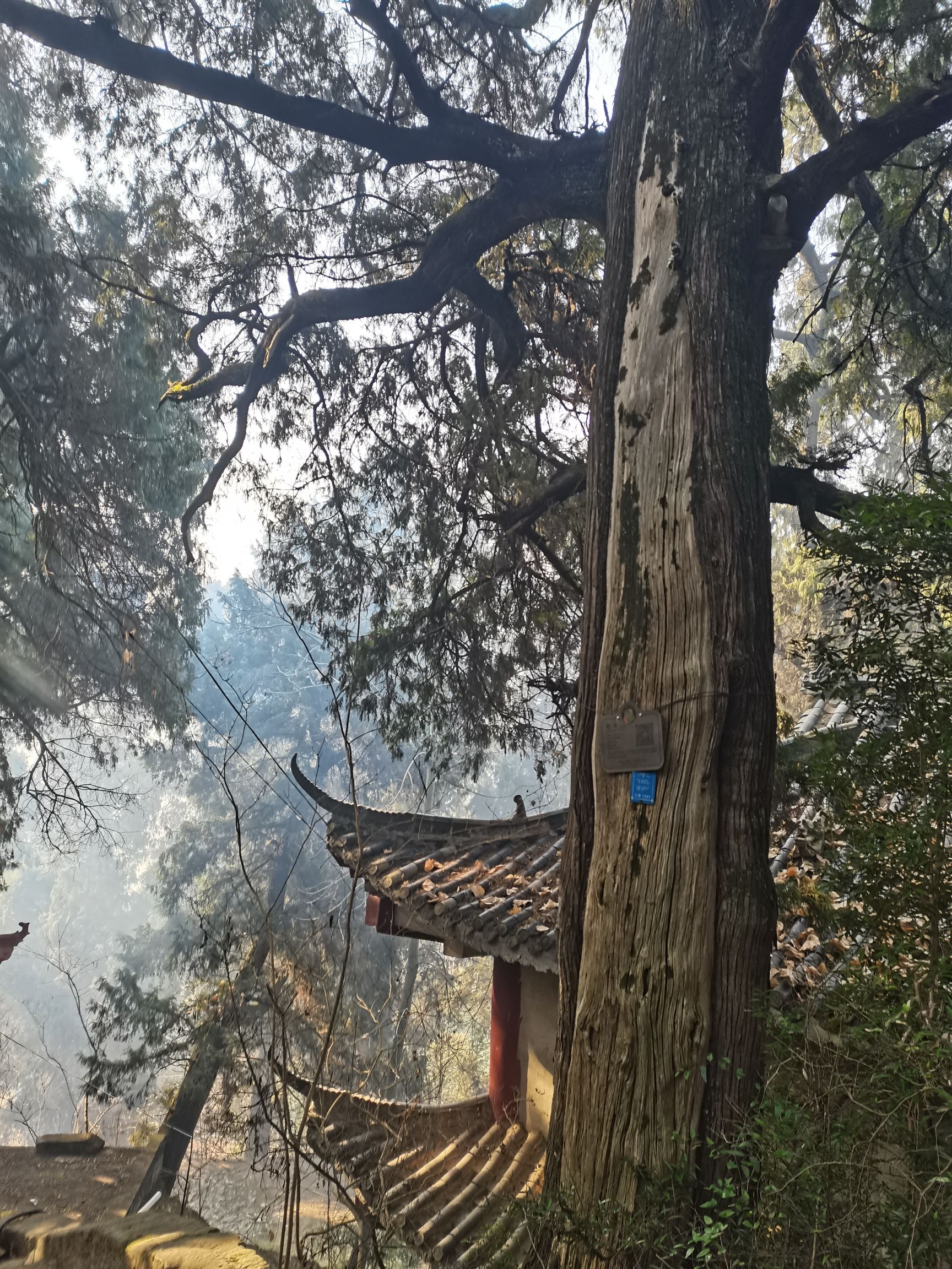 涌泉寺实景照片