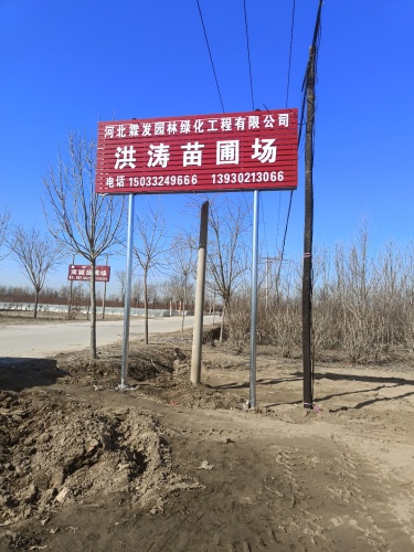 定州市洪涛苗圃场