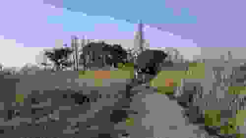清名医徐灵胎墓旅行图片 1