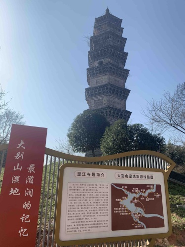 望江寺旅行图片 1