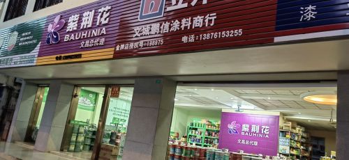 文昌文城鹏信涂料商行
