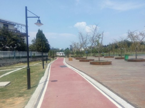 江西宜丰新昌湖省级湿地公园旅行图片 2