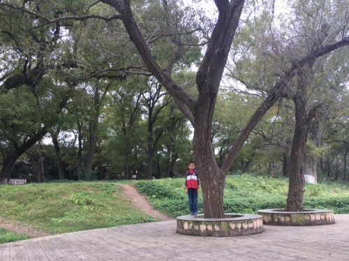 榉子洲公园旅行图片 3