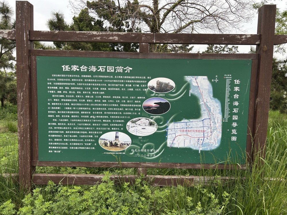 任家台赶海园景点图片