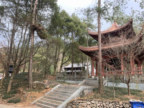 浙江省松阳卯山森林公园旅行图片 1