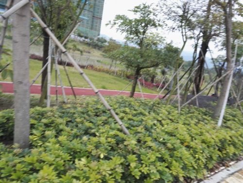 禹洲湿地公园旅行图片 2