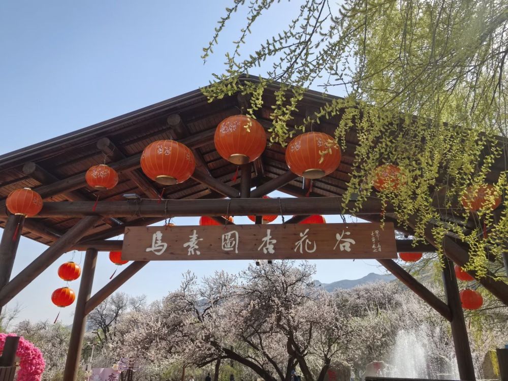 乌素图杏花谷景点图片