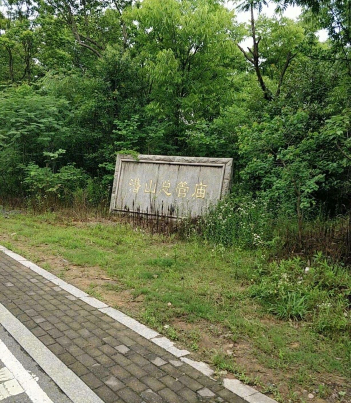 潜山总管庙实景照片