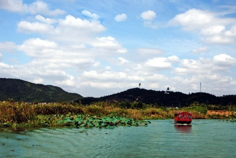 下渚湖·湿地公园景点图片
