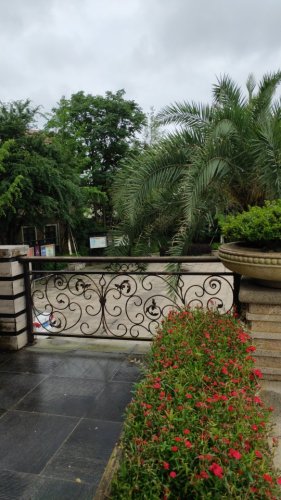八曲河湿地公园旅行图片 1