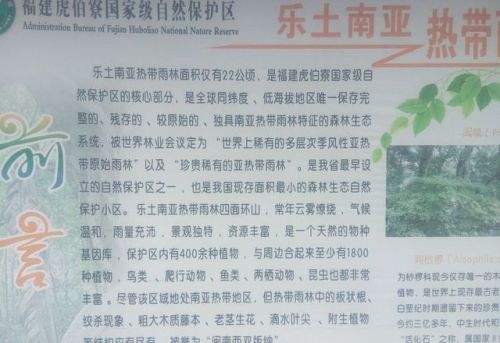 乐土亚热带雨林自然保护区旅行图片 2