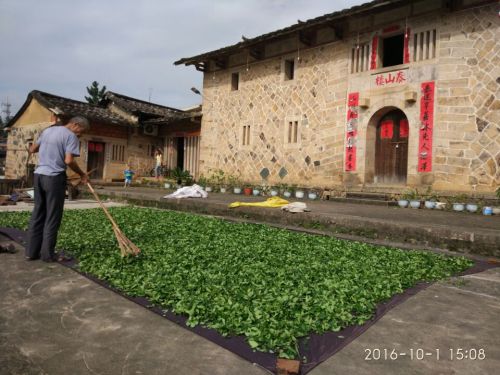 梅记泰山楼旅行图片 2