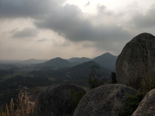 人民公园旅行图片 3