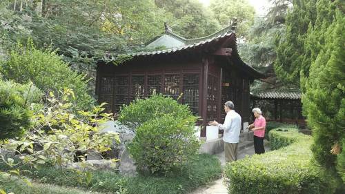 颐园旅行图片 2