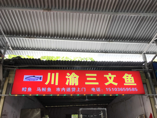 川渝三文鱼(海拓澜湾店)