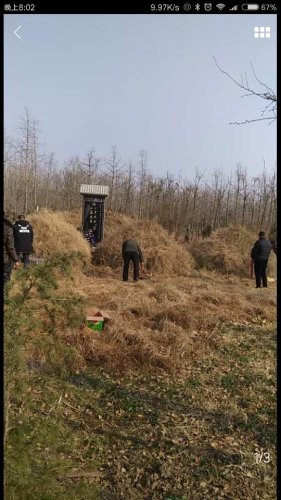 于氏祠堂旅行图片 2