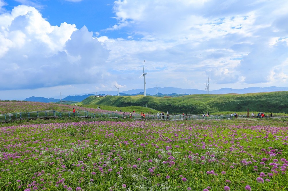 阿西里西韭菜坪景点图片