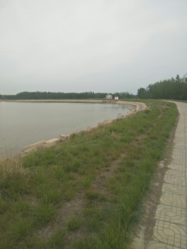 黄河十八湾生态园旅行图片 2
