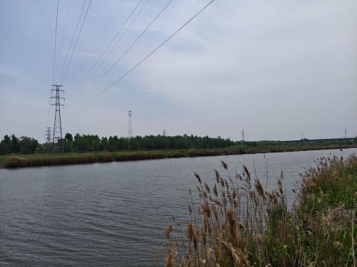 临洪河口湿地公园
