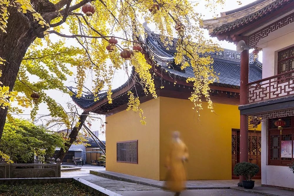 四龙禅寺实景照片