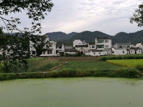 蜀源优昙谷景区旅行图片 2