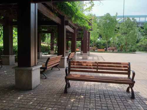 长虹公园旅行图片 3