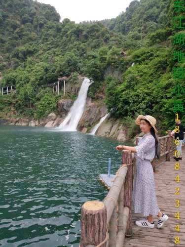 王仙岭生态公园旅行图片 2