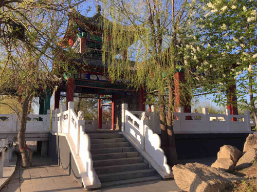 丽水文化公园旅行图片 1