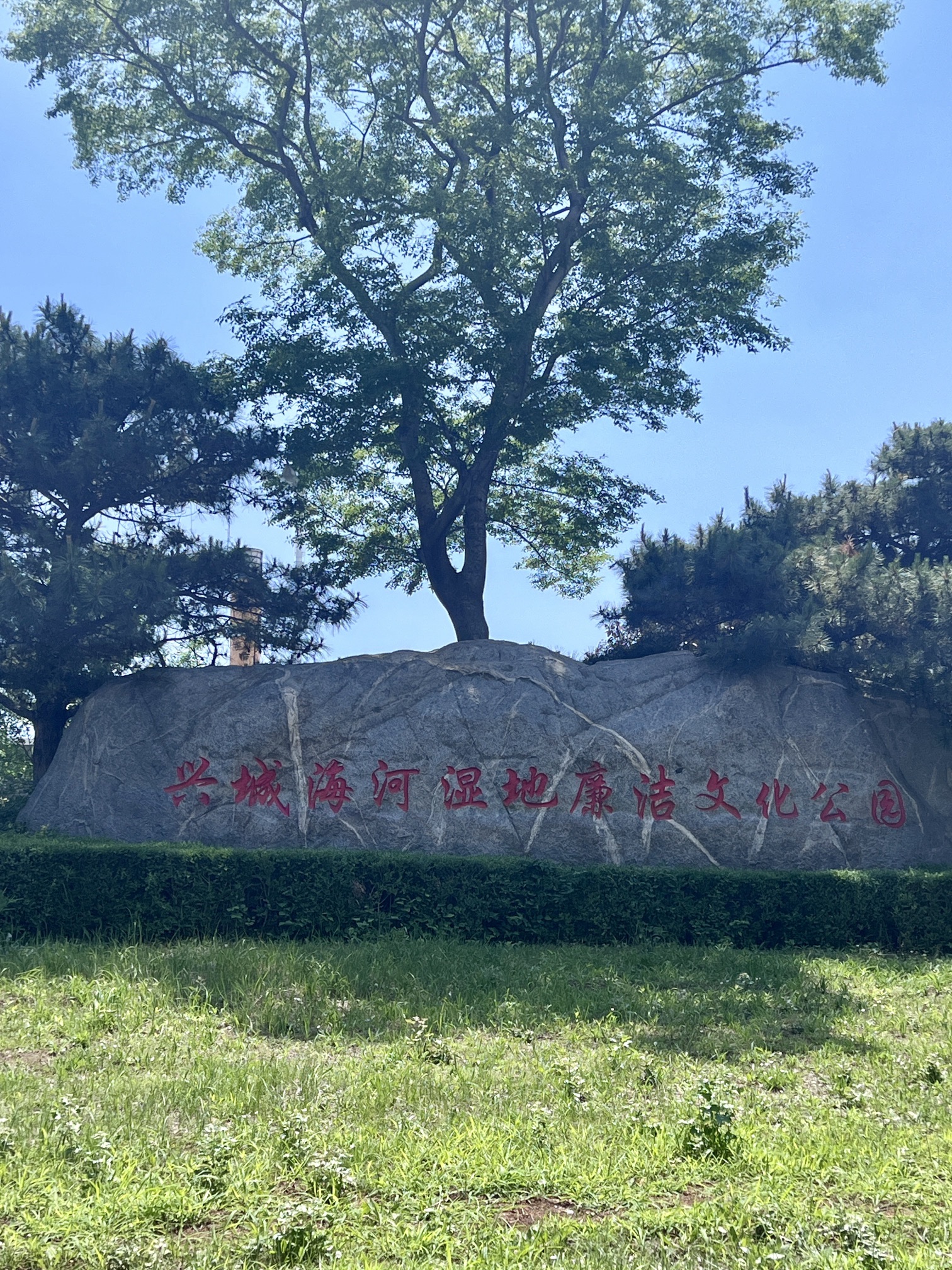 兴城湿地公园