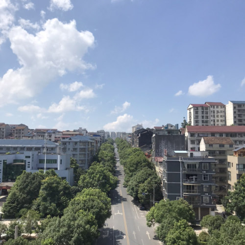 涉江楼旅行图片 3