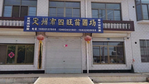 定州市四旺苗圃场