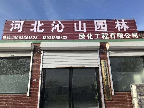 河北沁山园林绿化工程有限公司