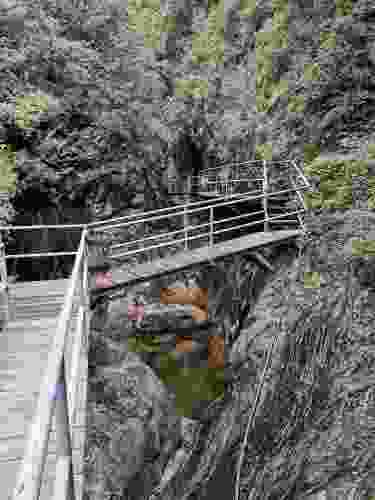 神龙山风景区(暂停开放)旅行图片 1