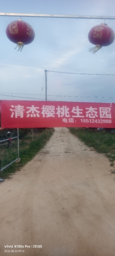 上庄清杰樱桃生态园