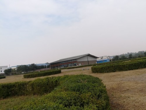 回洛仓遗址旅行图片 3