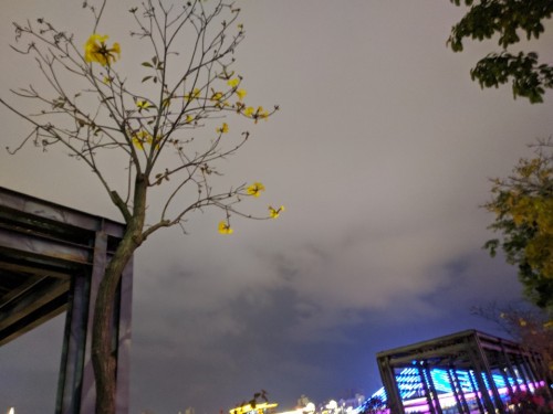 银湖公园旅行图片 2