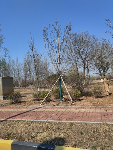 北戴河新区带状公园
