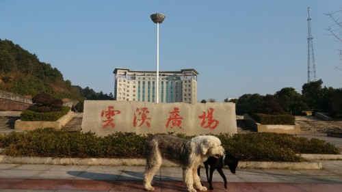 云溪广场旅行图片 3