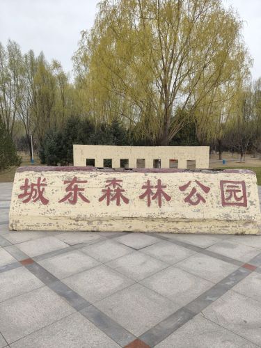 城东森林公园