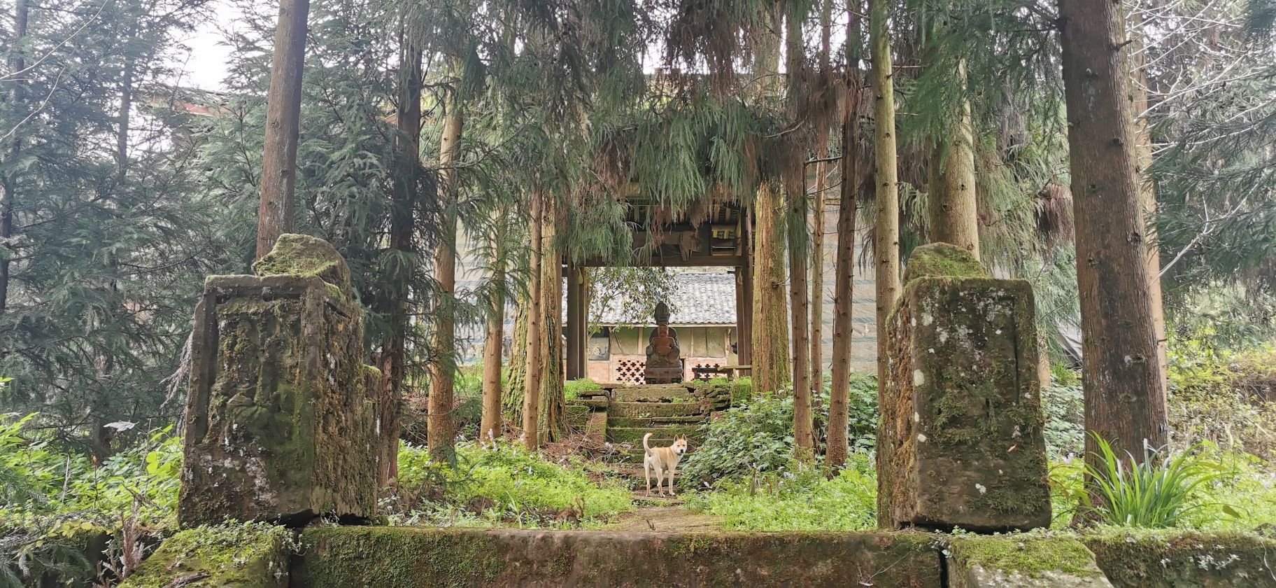 绍林禅院实景照片