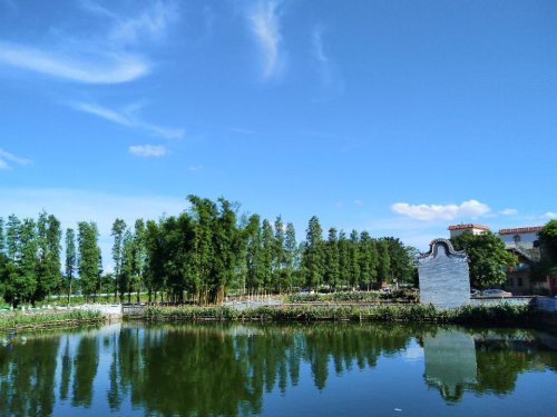 蟹泉仙井旅行图片 1