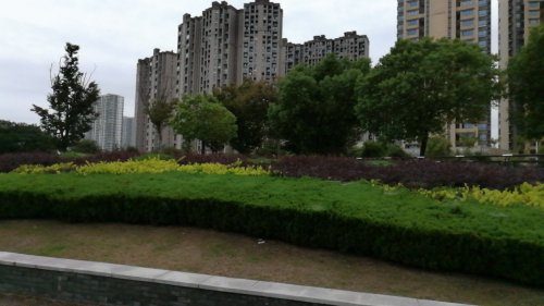 舜湖公园旅行图片 3