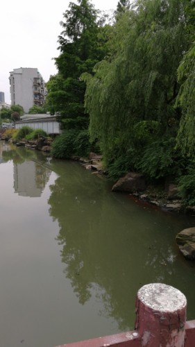 时代公园旅行图片 2