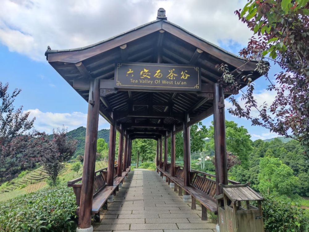 六安西茶谷主题公园景点图片