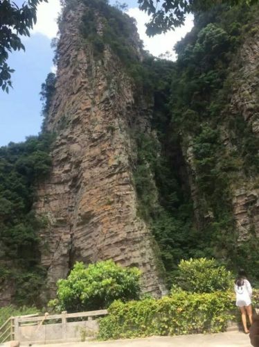 七星顶保护区旅行图片 2