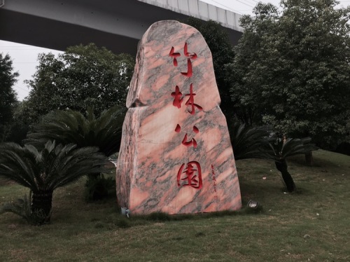 竹林公园旅行图片 3